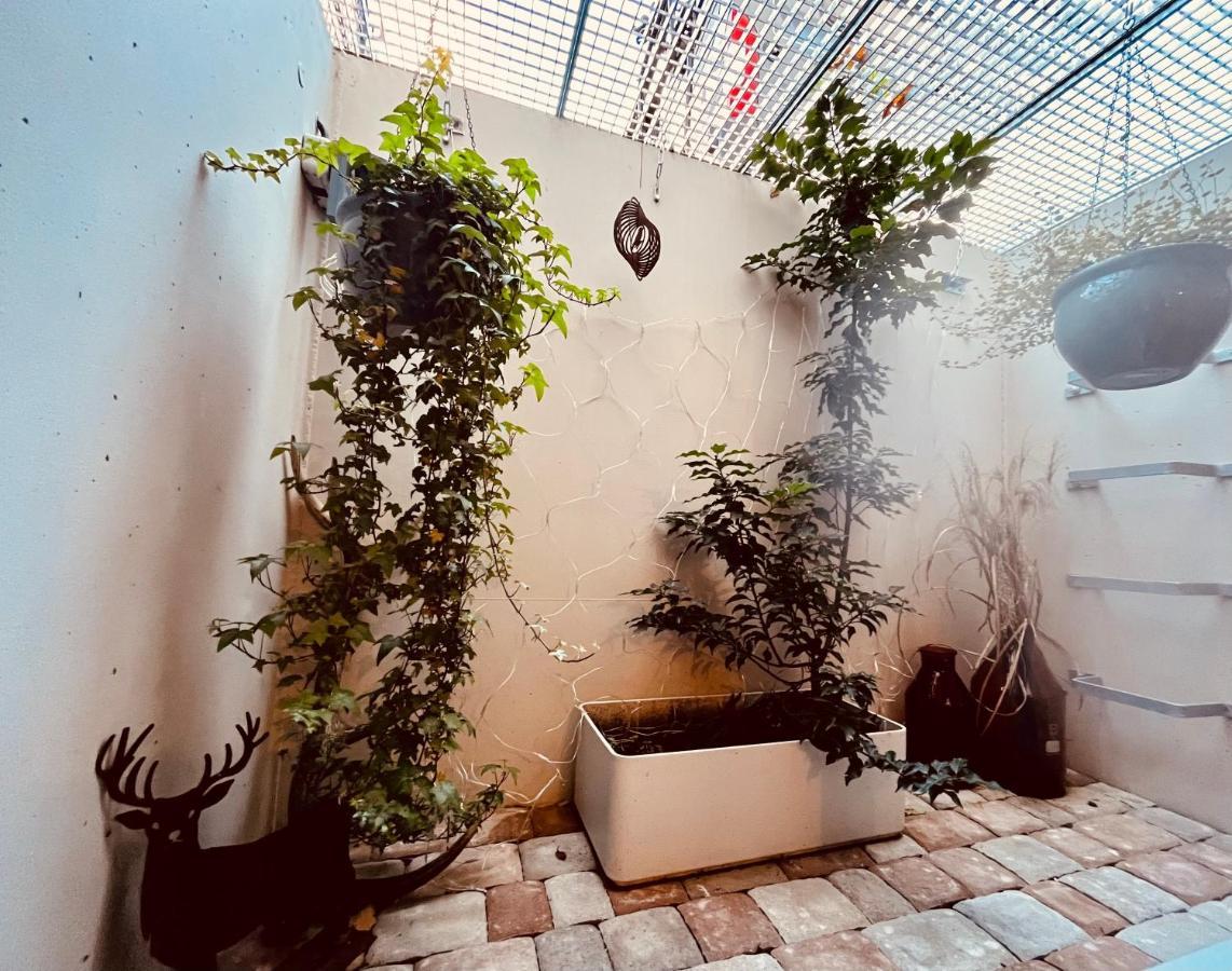 Hirschzimmer & Strandzimmer Utting am Ammersee